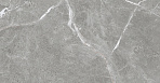 Stone Cool Grey Керамогранит серый 60х60 Матовый_0