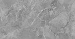 Regnum Grigio Керамогранит серый CR6012G0411R 59,5х119,1 матовый_3