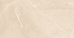 Elegant Armani Crema Керамогранит 60х60 Полированный_30
