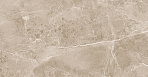 Obsidian Taupe Керамогранит 60х120 Полированный_2