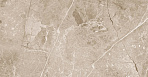 Obsidian Taupe Керамогранит 60х60 Матовый_3