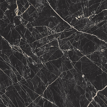 BLACK_ARCADIA_60x60_5