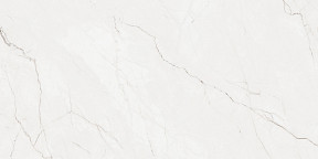 Тенерезза Керамогранит светло-серый 60х120 матовый карвинг